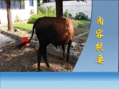 2016年9月19日民生一线