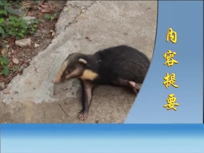 2016年9月9日民生一线