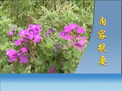 2016年9月29日民生一线