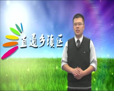 2016年10月17日《直通乡镇区》