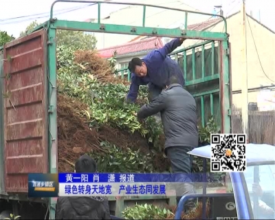 2016年12月5日《直通乡镇区》