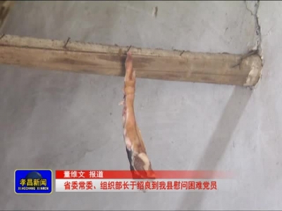 《孝昌新闻》2017年1月24日