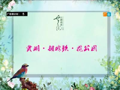 2017年4月11日民生一线