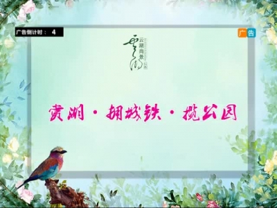 2017年5月17日民生一线