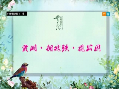 2017年5月29日民生一线