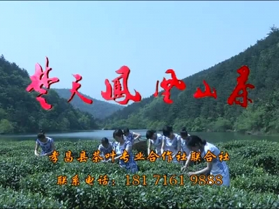 2017年5月4日民生一线
