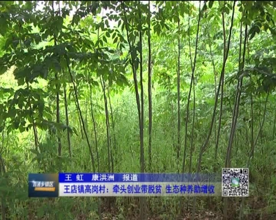2017年8月21日《直通乡镇区》