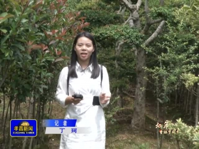 《孝昌新闻》2017年9月14日