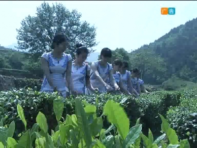 2017年10月3日民生一线