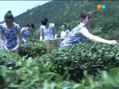 2017年10月24日民生一线