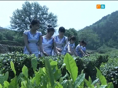 2017年11月2日民生一线