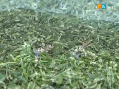 2018年1月1日民生一线