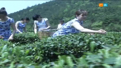 2018年1月25日民生一线