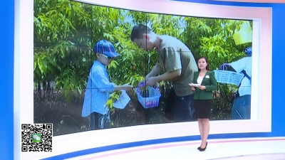 －－桃子熟了  生态园里采摘乐
