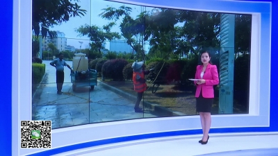 －－6.1-天气渐热   绿化病虫害早预防