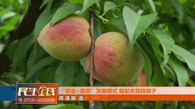 －－“农业+旅游”发展模式 鼓起农民钱袋子
