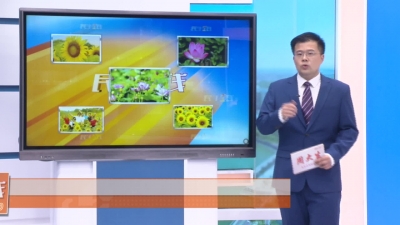 －－V眼看孝昌