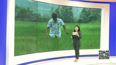 －－黄纯乔：党员干部带头 群众走上脱贫路