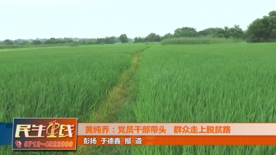 －－黄纯乔：党员干部带头 与群众同走致富路（下）