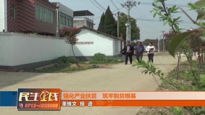 －－强化产业扶贫　筑牢脱贫根基