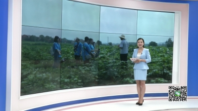 －－华中科技大学：青春走基层　社会实践热