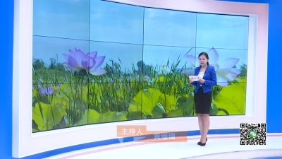 －－小河镇：炎炎夏日 荷花“别样红”