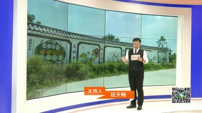 －－花西乡：多样文化墙   传递正能量