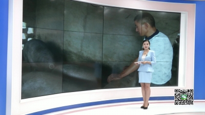 －－石新军：身患重病不言弃 创业走上致富路