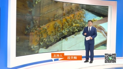 －－夏季蜜蜂如何管理