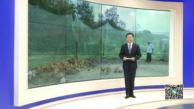 －－七旬老人万文昌：不等不靠谋脱贫 身残志坚感动人