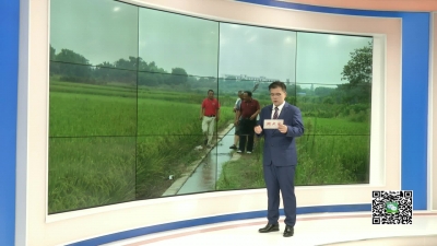 －－陡山乡：干群齐心 抗旱保丰收