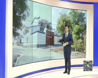 --王店镇：推进“厕所革命” 提升村庄环境