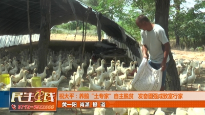 －－祝大平：养鹅“土专家”自主脱贫   发奋图强成致富行家