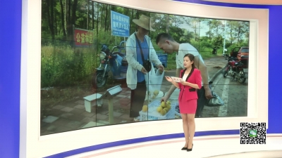 --喜！黄桃获丰收  急！滞销愁果农