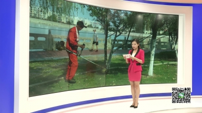 --战高温 斗酷暑：官塘湖保苗抗旱小分队在行动