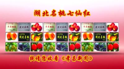 2022年5月27日《孝昌新闻》