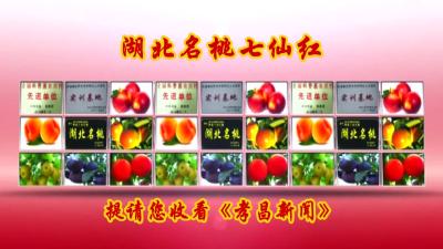 2022年5月2日《孝昌新闻》