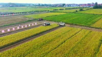 2022年7月14日《孝昌新闻》