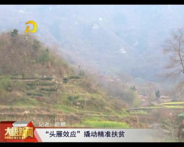 【扶贫攻坚进行时】“头雁效应”撬动精准扶贫