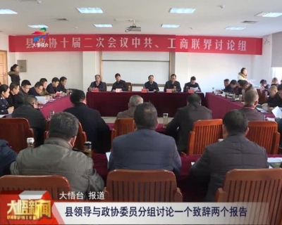 【聚焦两会】大悟县领导与政协委员分组讨论一个致辞两个报告