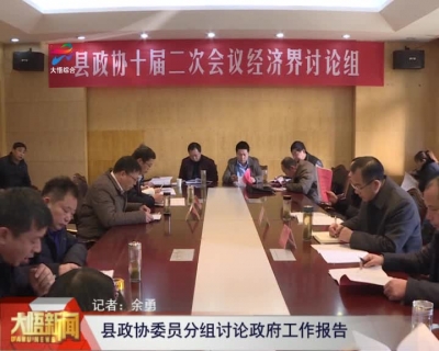 【聚焦两会】大悟县政协委员分组讨论政府工作报告
