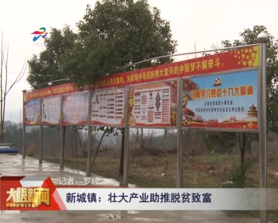 新城镇： 壮大产业—助推脱贫致富