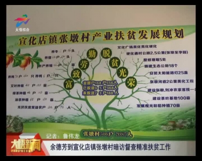 余德芳到宣化店镇张墩村暗访督查精准扶贫工作