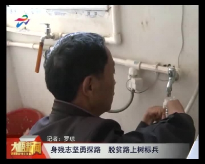 身残志坚勇探路  脱贫路上树标兵
