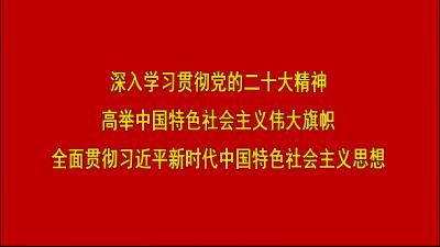 2022年11月15日嘉鱼新闻