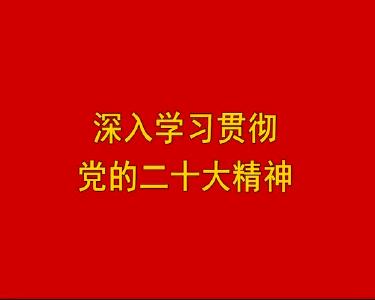 2022年11月03日嘉鱼新闻