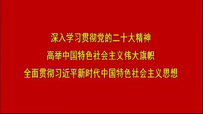 2022年11月10日嘉鱼新闻