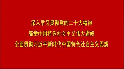 2022年11月17日嘉鱼新闻