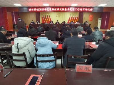 南林桥镇召开2021年度党组织书记抓基层党建工作述职评议会