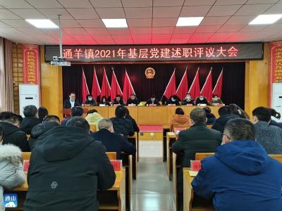 通羊镇召开2021年度党组织书记抓基层党建工作述职评议会
